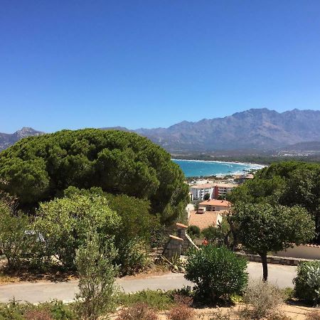 Appartement Calvi Calvi  Dış mekan fotoğraf