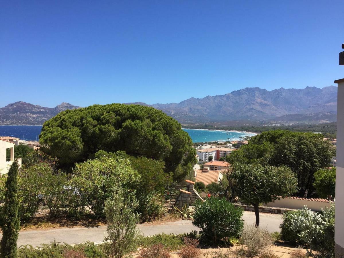 Appartement Calvi Calvi  Dış mekan fotoğraf